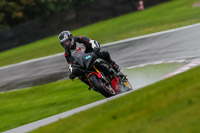 PJ-Motorsport-Photography-2020;anglesey;brands-hatch;cadwell-park;croft;donington-park;enduro-digital-images;event-digital-images;eventdigitalimages;mallory;no-limits;oulton-park;peter-wileman-photography;racing-digital-images;silverstone;snetterton;trackday-digital-images;trackday-photos;vmcc-banbury-run;welsh-2-day-enduro